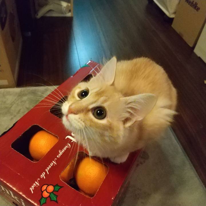 1aa106e9 44d0 4481 8590 2231c2c522b3 1608244455196