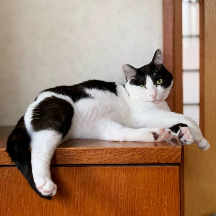 1aa12789 af83 4bff ac67 cf076b2566ac 1596677862857