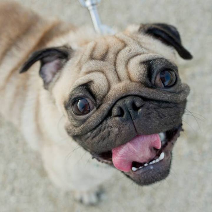 1aa148b0 4942 4394 98da d9558e3440cd 1521688242659