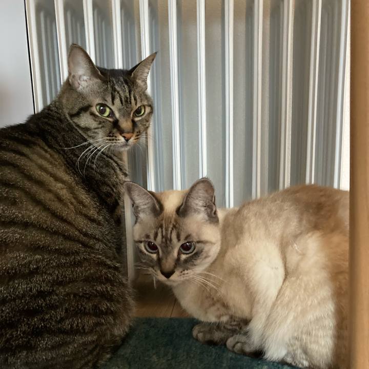 1aa14992 f7af 49dc 99ef 36ef9b6d1900 1608943272997