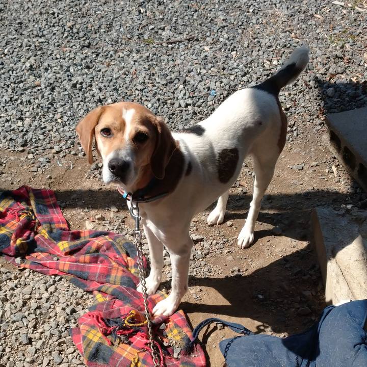 1aa1627a f757 47fe 91ba b353a00fed1d 1616570806662