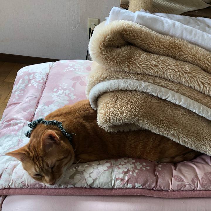 1aa18a4d 0a3c 430a aab1 1e21540a0e34 1557107276548