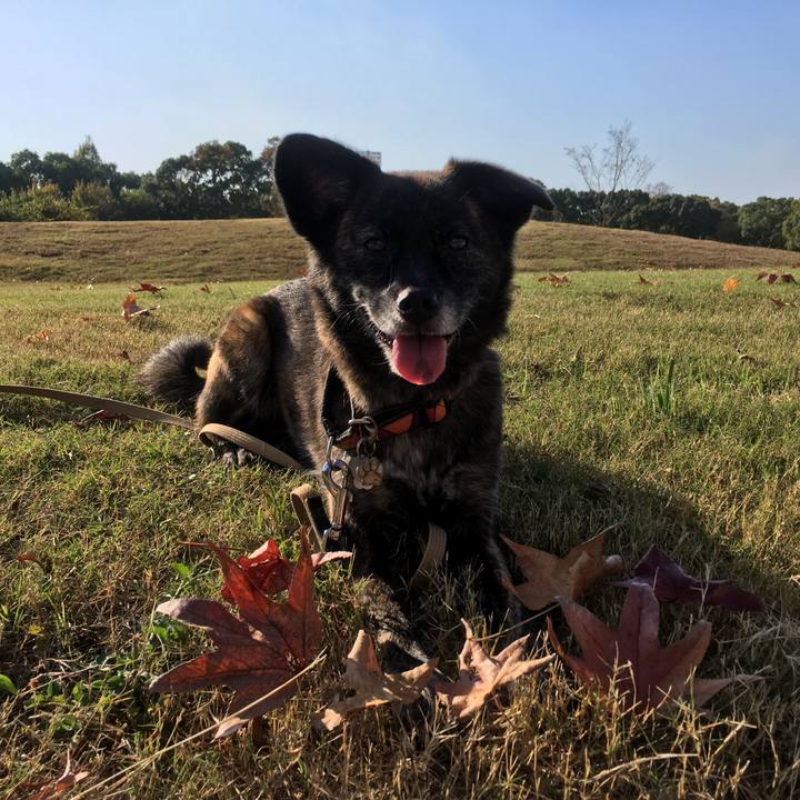 1aa19eba 6b4f 4898 8ad1 9eee5bb224cc 1510244699836