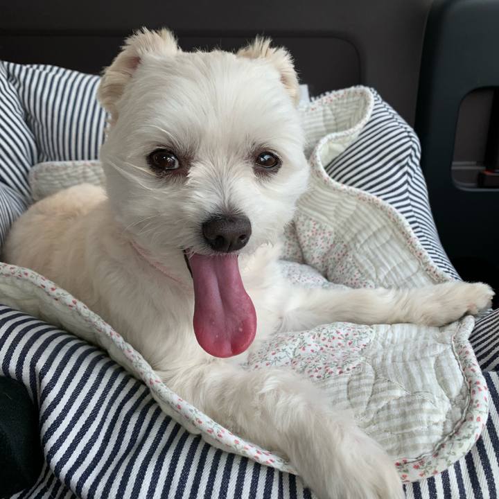 1aa213f0 7126 421b a5ca c026a73f960e 1590914053183