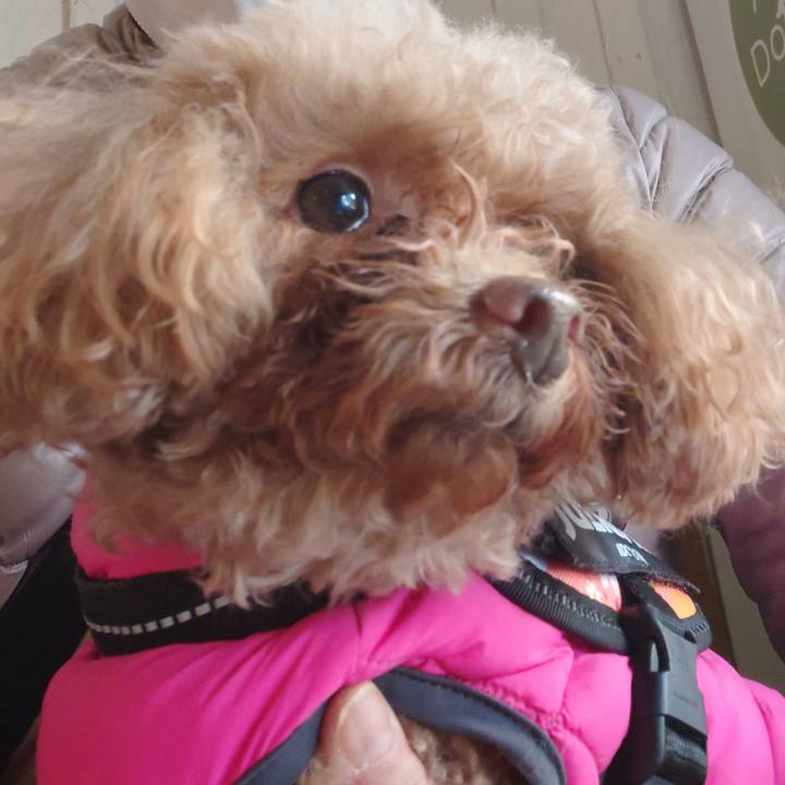 1aa23284 1592 4616 90ec 491b2c73062e 1734237142501