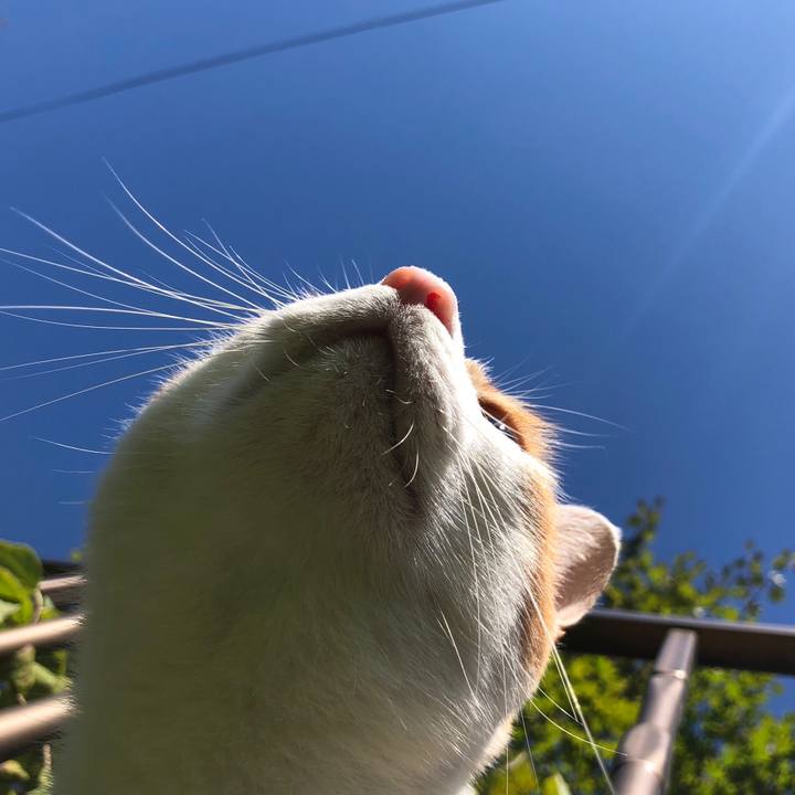 1aa23a40 5e13 47fe 8a6b 715d5b265405 1538095540173