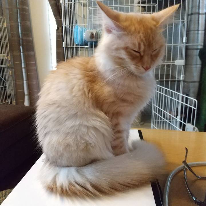 1aa245b6 656a 4b92 8ccf e85198c0229e 1610323450527