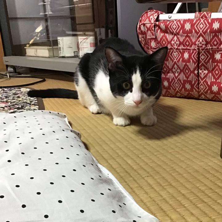 1aa25cfd f774 43c2 ad59 045b04c5f465 1636674242352