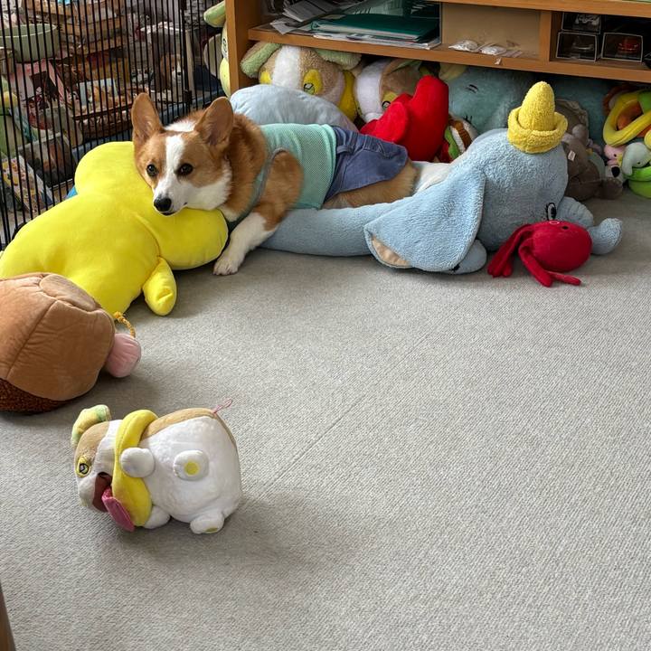 1aa32f69 8d49 4784 9b82 94a5db8c854f 1758336535724