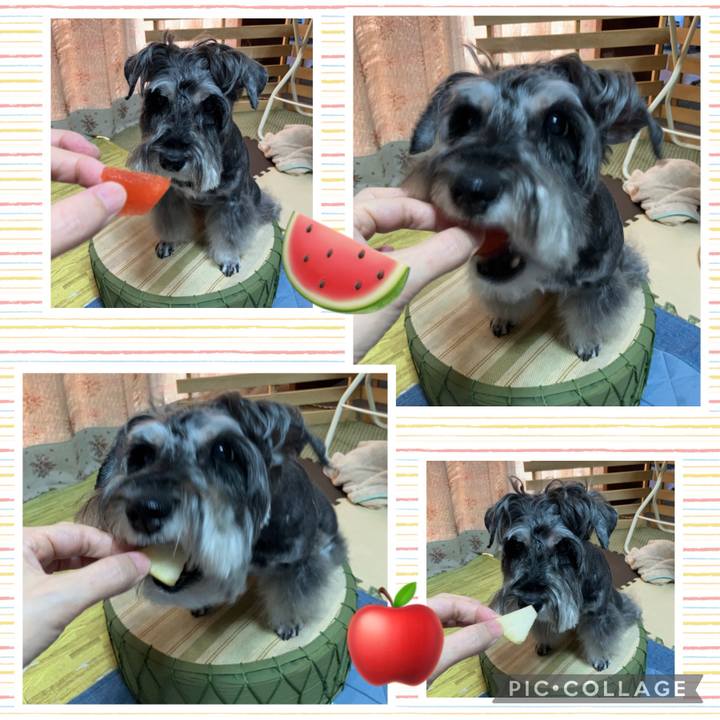 1aa34fa2 e956 4384 b1cf e017814e0f76 1726463252611