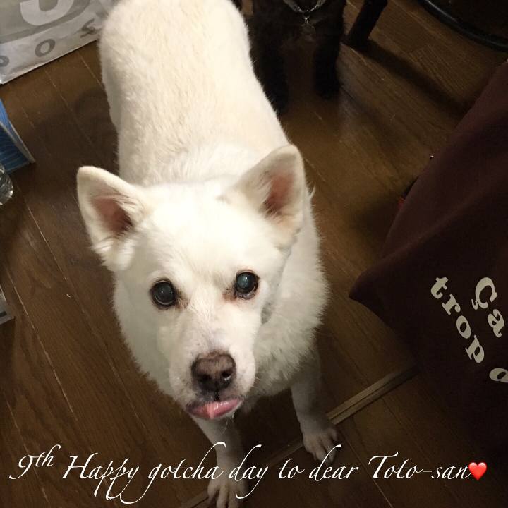 1aa36602 4ffe 475d b846 d4c623d37b12 1526306926493