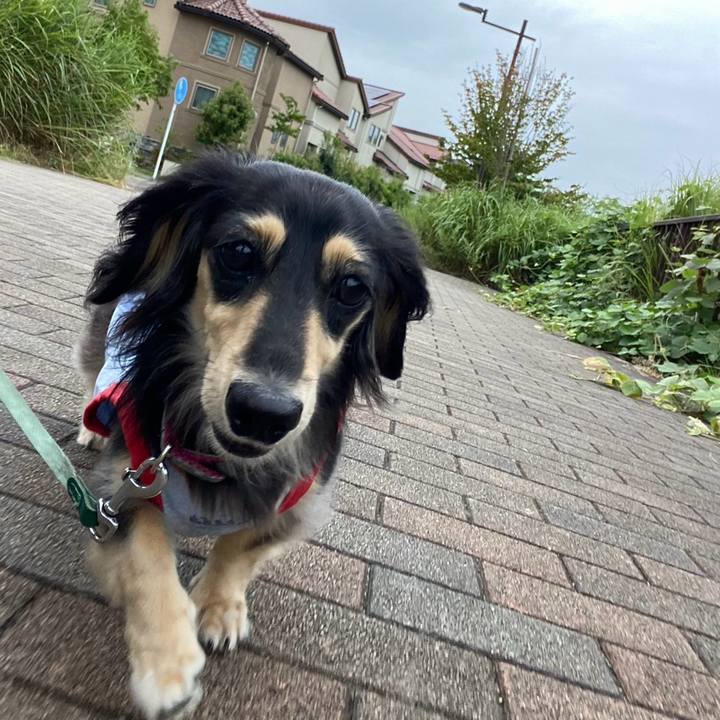 1aa379b6 2d5a 40d7 8131 347a2ed9bd4e 1756970233386