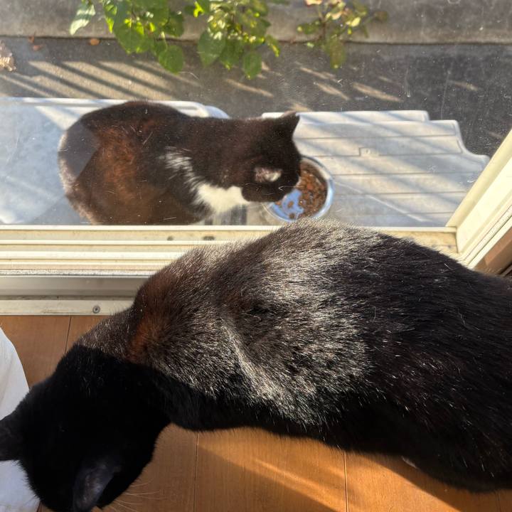 1aa3d845 81fa 4fc0 ac2d c1c87010c01d 1765885314139