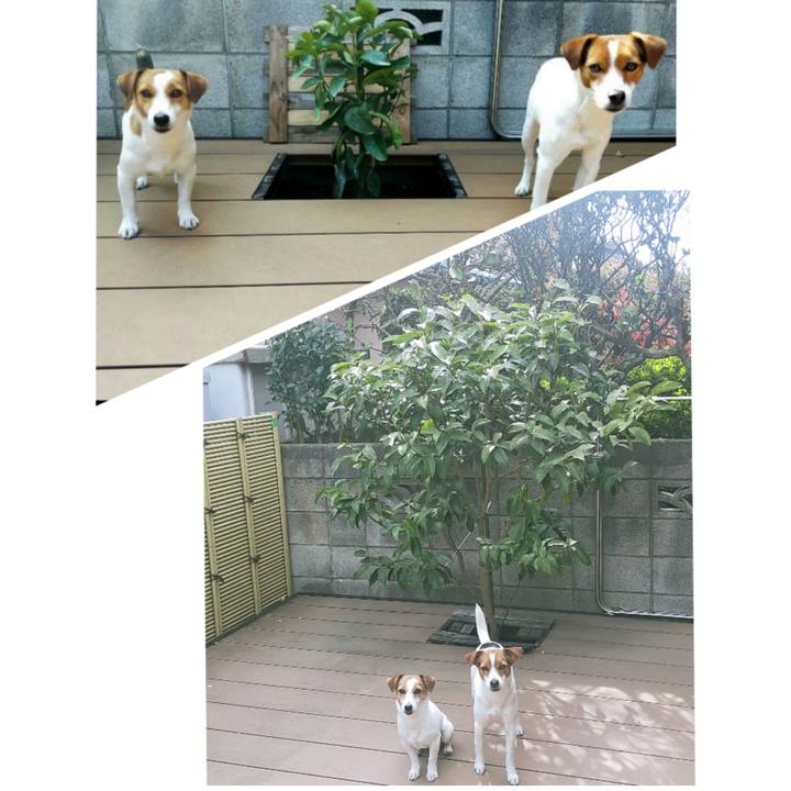 1aa42471 a4a8 44a8 ac96 fc093541b8af 1774254050674