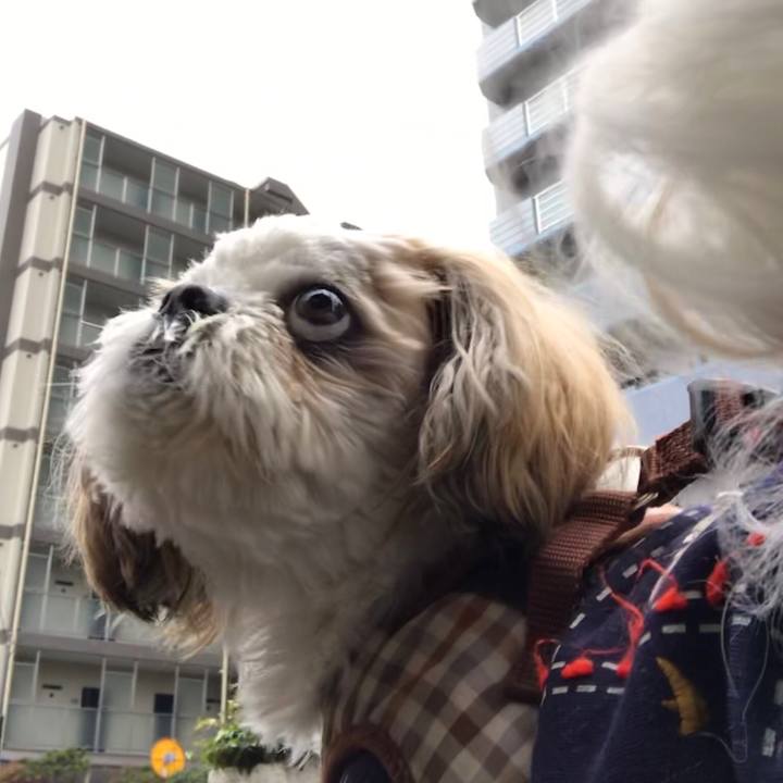 1aa44aee 249e 4618 8d92 3d50201e5cc4 1544133277286