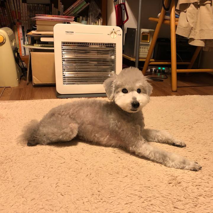 1aa45000 2416 424f 9acc 4d9b117af4b4 1616110488238