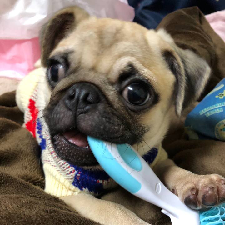 1aa4b58c a136 4037 ae7b 3c33467c4e74 1515436500918