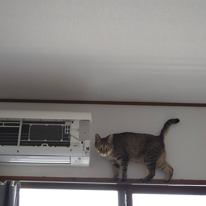 1aa4ca80 0e71 47a3 9dc9 4be10a9cf3de 1620527461320