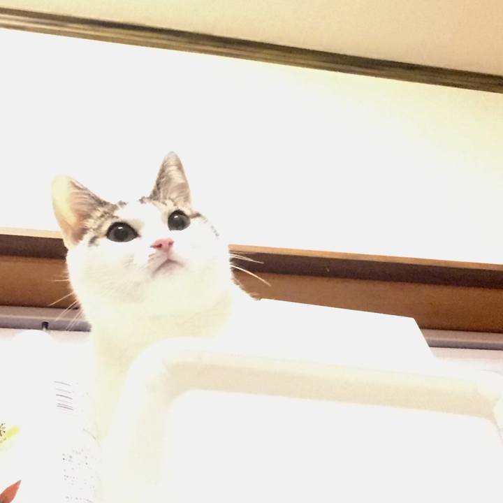 1aa4da0e c864 46fc 8d4b 6161787336dd 1550324392909