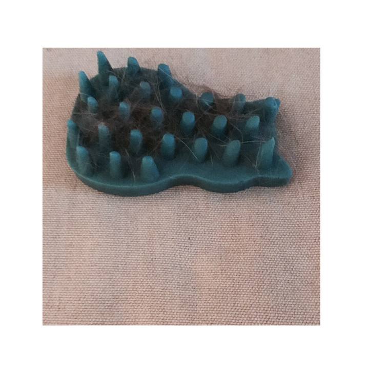 1aa4fe9f 2306 463b 8e88 bb724539c183 1604410648642