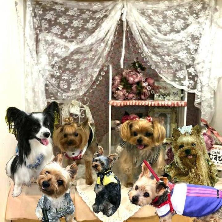 1aa50630 83f8 4f6e a017 6e30b5428328 1560861645516