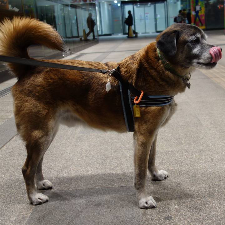 1aa53aa8 6a2b 45ae 82c4 48b86c9549a8 1549639633686