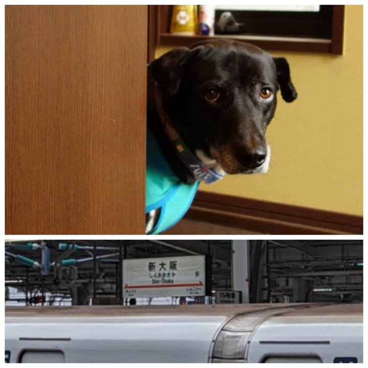 1aa5c29f 5d68 437d 9fc6 a3958bf3b1d5 1716163814155