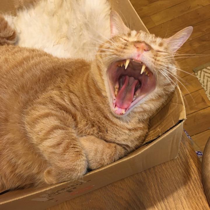 1aa5c441 a280 4886 bfa9 e271c1ab45fc 1600341982484