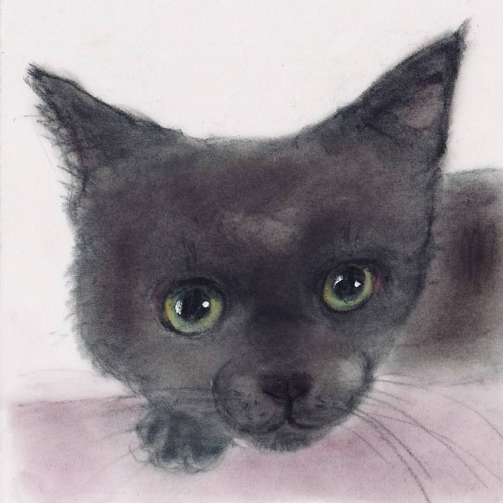 1aa5c943 8e4f 4ca9 8125 06e089e297ed 1744072842097