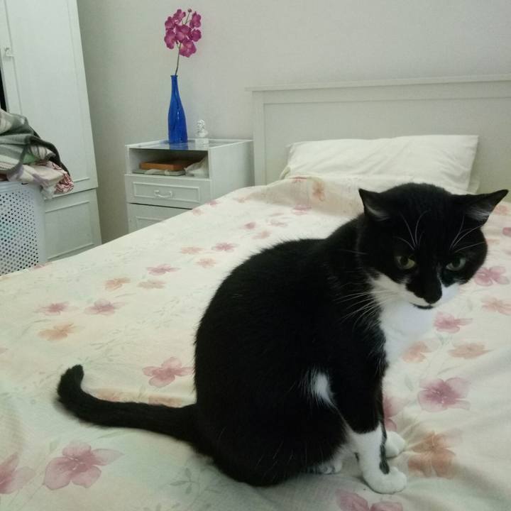 1aa5cc0e 829d 4e7d 9bab debc0473f2e1 1511083689499