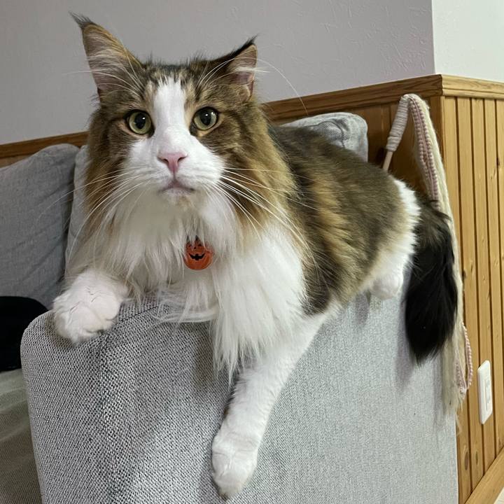 1aa5d37a c2f5 42fe 8beb 8cfc53841746 1697916566230