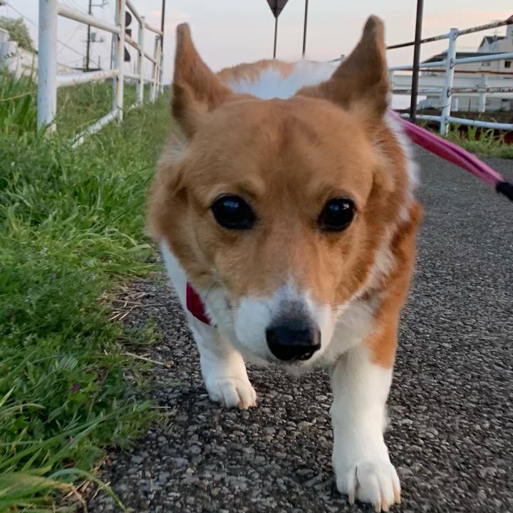 1aa5d4c4 4512 485d ace2 b19190bb5268 1681725965207