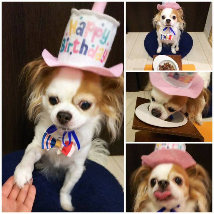 1aa5fc31 55c2 432b 9f2c cd563f88b117 1510315345777