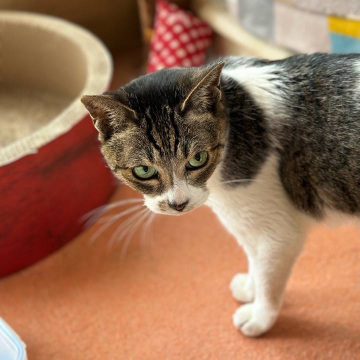 1aa618fa b54f 4458 8b2a 6d17493840b2 1680747062903