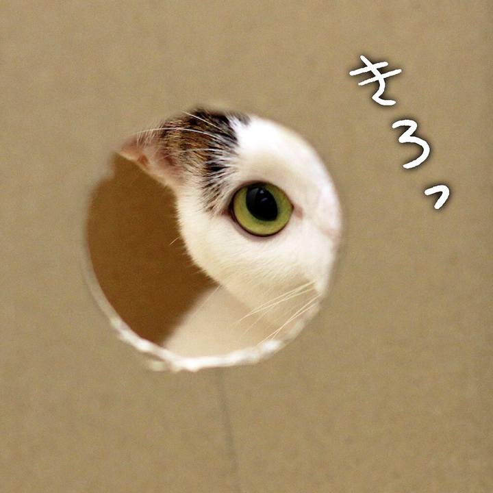 1aa646b8 85fa 4725 8d18 ebdb17b17346 1579391975002