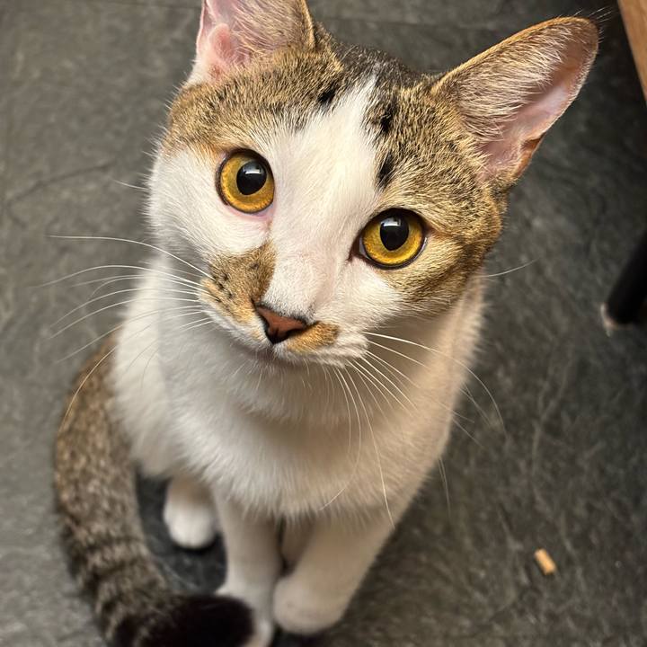 1aa67040 bfa5 49aa 8eed dd378b425959 1762527820584