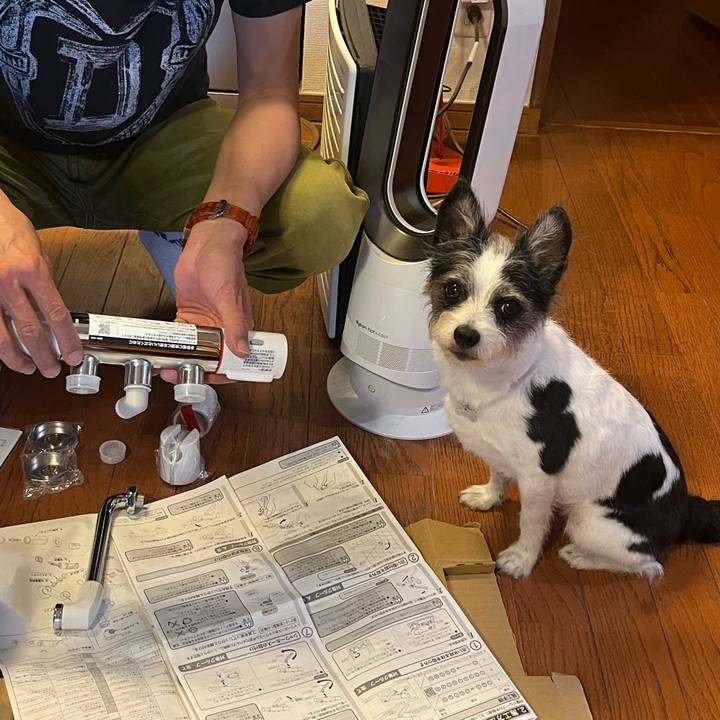 1aa67924 dbc3 4385 8500 b117ec569ca0 1753917699669