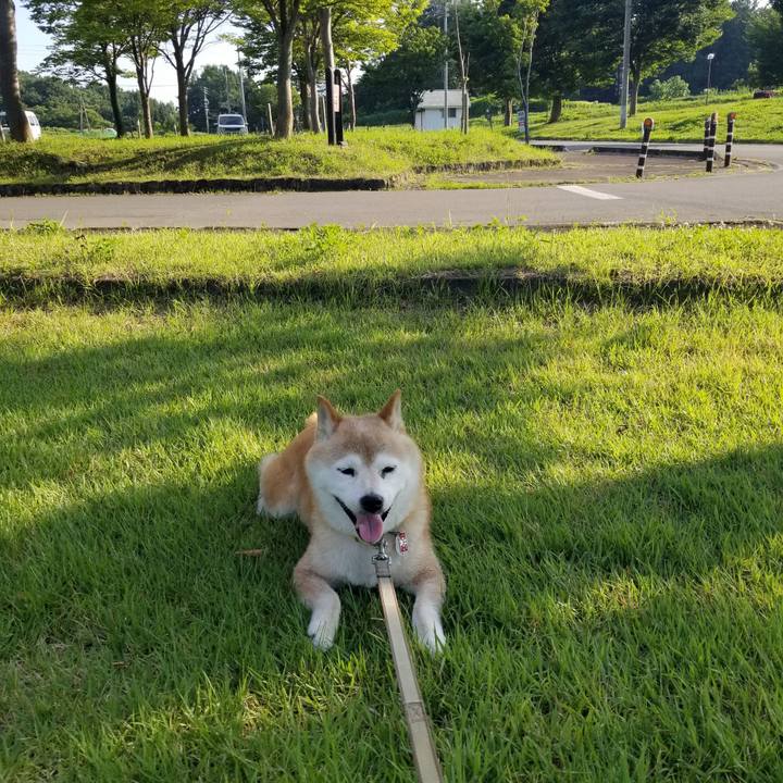 1aa6812f 8024 4116 b9ad d67e6a157614 1689580857795