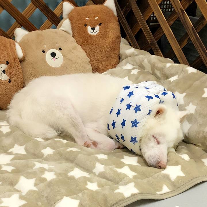 1aa69647 17df 43c9 8d42 8937c95de1eb 1640960754160