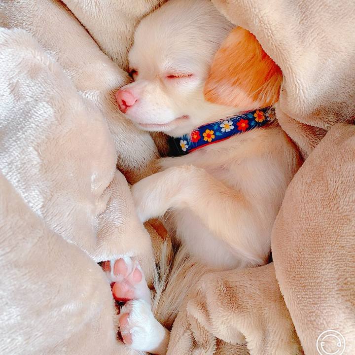 1aa71e05 0d7c 483f ae31 0d07472fbc07 1633006336823