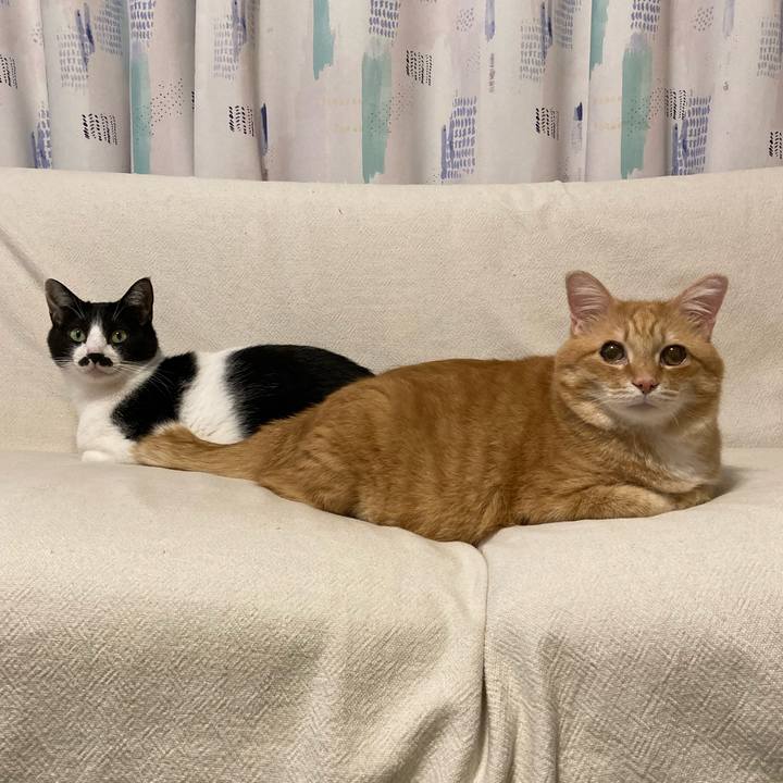 1aa751ca a927 49de 87d2 9e75a27e1e3a 1771941708799