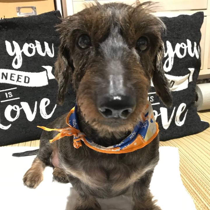 1aa75ace 5fe6 44a8 bc62 4eadab45e2da 1534263523650