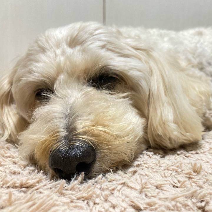 1aa75fef 2b6b 4883 a513 91613260d24a 1766298819561