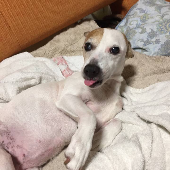 1aa76032 84d2 4e98 80ec 77e2122c7929 1524832180197