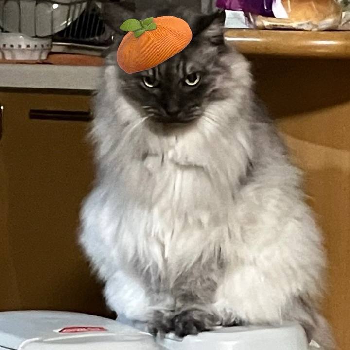 1aa78281 48ff 46f3 92c9 6baa6fc7b9a2 1727604377631