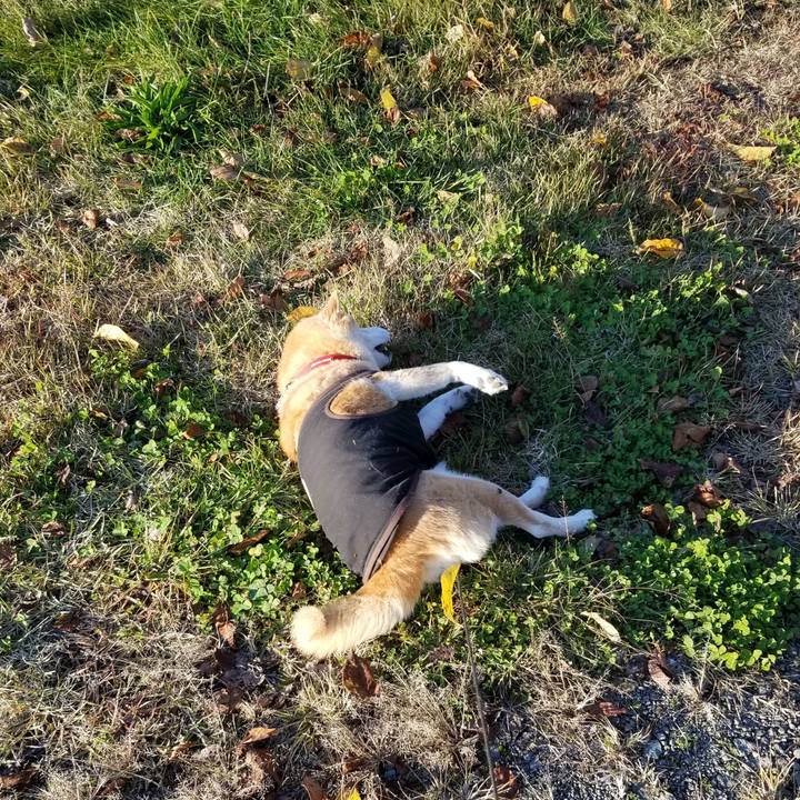 1aa794c1 9a4b 4ea1 8371 ffb41eecc83d 1731306191292