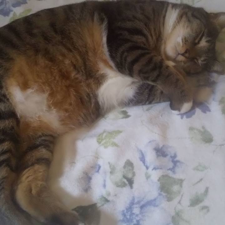 1aa79baa 3599 4e63 a0f5 49000b018a41 1752200229061