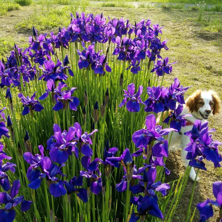 1aa7b140 fbea 4f47 bc31 a33de8972bc2 1556795737278