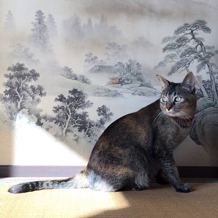 1aa7d28c 49eb 4427 9836 9216f4850c5b 1603671952071