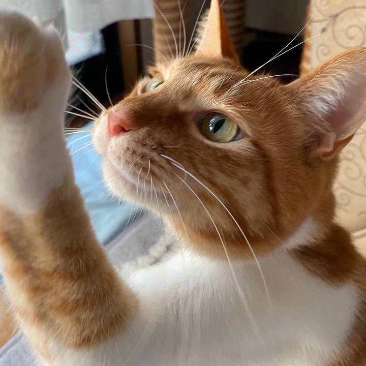 1aa7f983 cfb2 4530 8dd1 cd031164b652 1616487529829